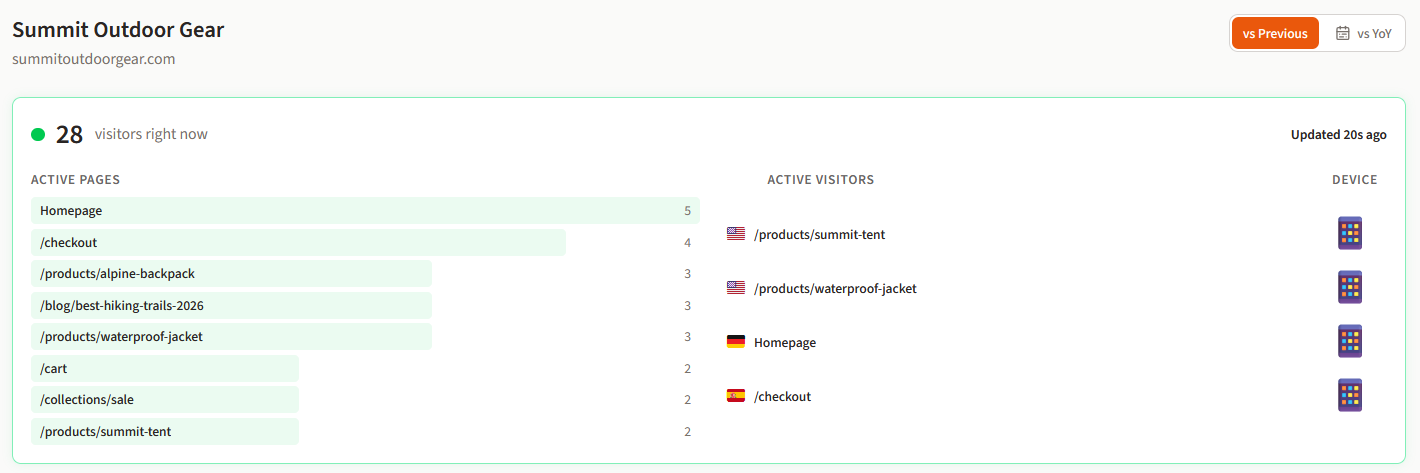 Real-time visitor dashboard showing active visitors with country flags and device types